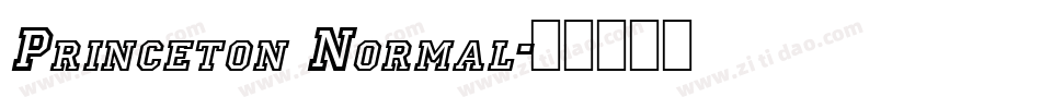Princeton Normal字体转换